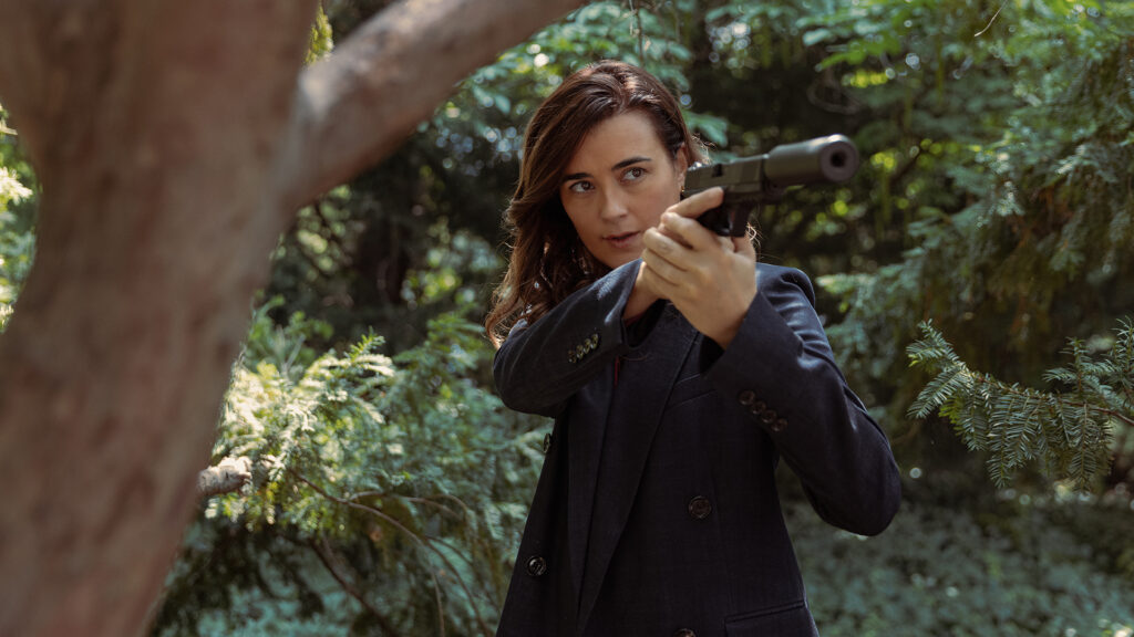 cote de pablo ncis tony and ziva interview
